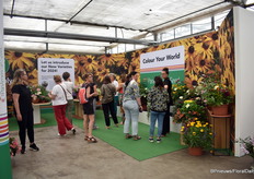 Er worden ook steeds meer 'combos' gemaakt. Daardoor ook hoekje hier bij PanAmerican Seed voor gemaakt.